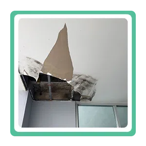 Coral Gables Emergency Restoration Coral Gables, FL 786-369-0584 Coral Gables Emergency Restoration Coral Gables, FL 786-369-0584 - sb-ser-01